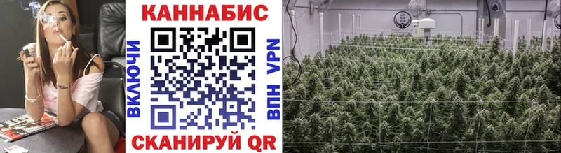 Купить закладки  Данков  Марихуана White Widow 
